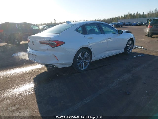 19UUB6F92MA800241 Acura Tlx Platinum Elite