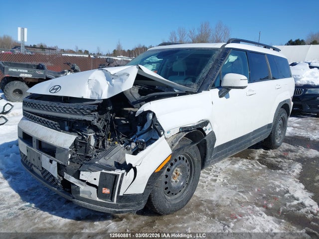 Продажа на аукционе авто 2024 Hyundai Santa Fe, vin: 5NMP5DGL6RH024355, номер лота: 12560881