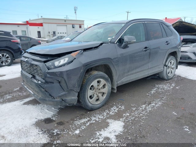 Продаж на аукціоні авто 2021 Toyota Rav4 Le, vin: 2T3B1RFV5MC221447, номер лоту: 12560952