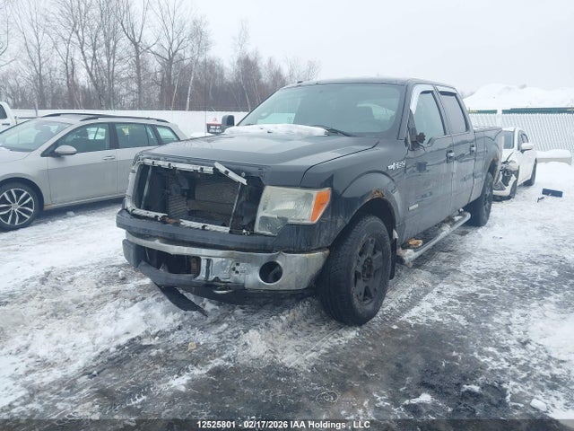 12525801 :رقم المزاد ، 1FTFW1ET2DFD35037 vin ، 2013 Ford F-150 Xlt مزاد بيع