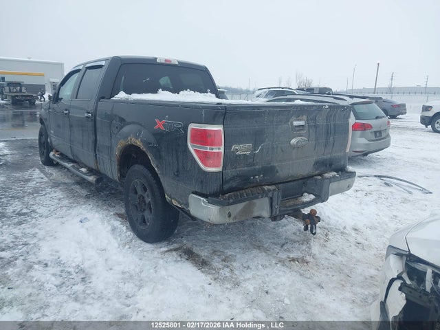 12525801 :رقم المزاد ، 1FTFW1ET2DFD35037 vin ، 2013 Ford F-150 Xlt مزاد بيع