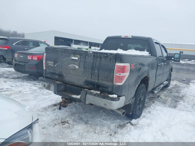 12525801 :رقم المزاد ، 1FTFW1ET2DFD35037 vin ، 2013 Ford F-150 Xlt مزاد بيع