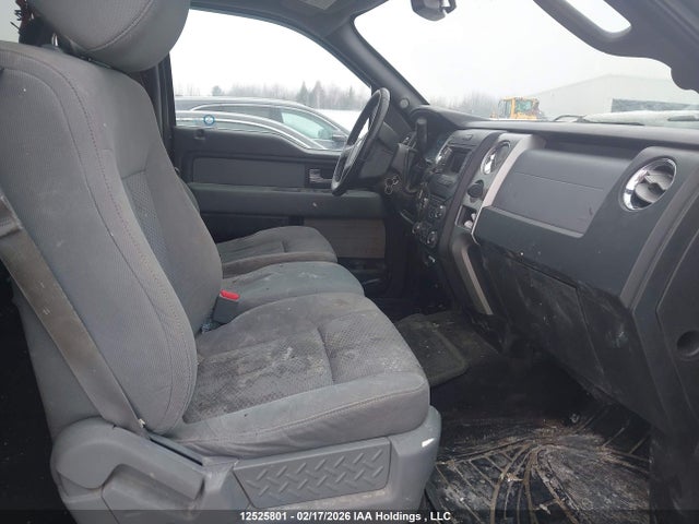 12525801 :رقم المزاد ، 1FTFW1ET2DFD35037 vin ، 2013 Ford F-150 Xlt مزاد بيع
