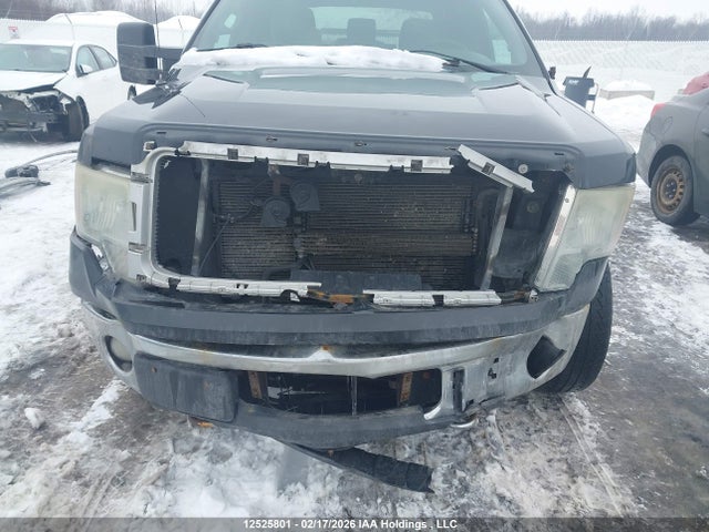 12525801 :رقم المزاد ، 1FTFW1ET2DFD35037 vin ، 2013 Ford F-150 Xlt مزاد بيع