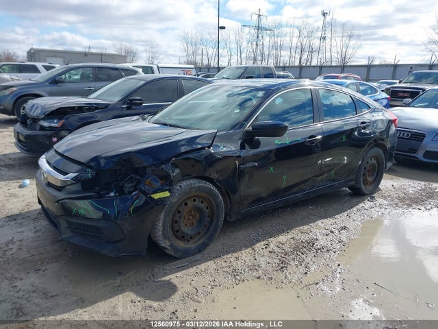 12560975 :رقم المزاد ، 2HGFC2F55JH011364 vin ، 2018 Honda Civic Lx مزاد بيع
