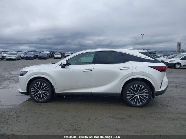 Aukcja sprzedaży 2024 Lexus Rx 350, vin: 2T2BAMCA0RC073658, numer aukcji: 12560985