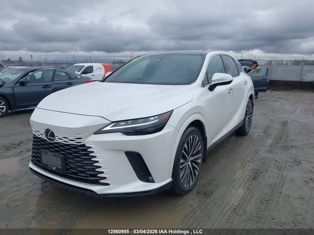 Aukcja sprzedaży 2024 Lexus Rx 350, vin: 2T2BAMCA0RC073658, numer aukcji: 12560985