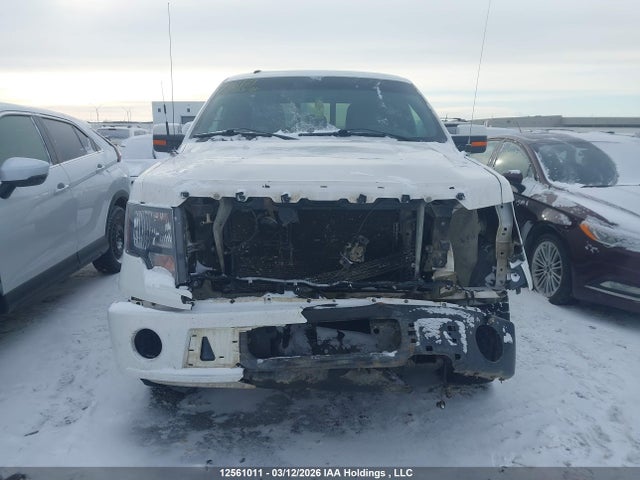 Aukcja sprzedaży 2011 Ford F150 Supercrew, vin: 1FTFW1E65BFA22748, numer aukcji: 12561011