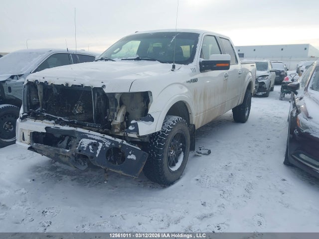 Aukcja sprzedaży 2011 Ford F150 Supercrew, vin: 1FTFW1E65BFA22748, numer aukcji: 12561011