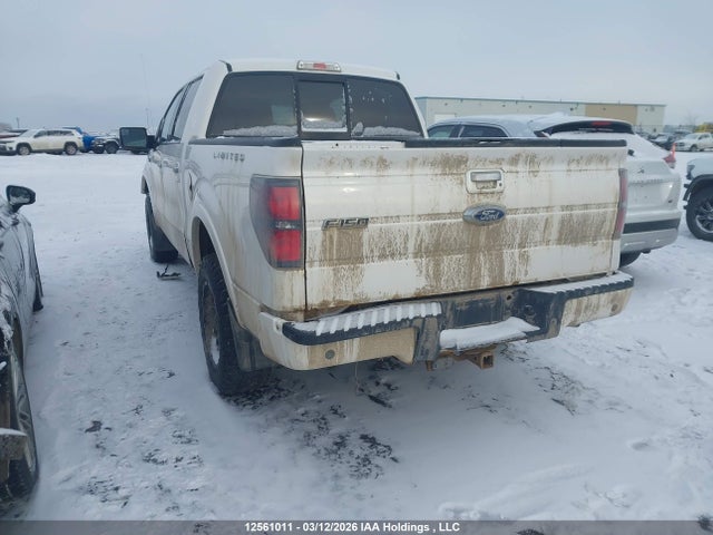Aukcja sprzedaży 2011 Ford F150 Supercrew, vin: 1FTFW1E65BFA22748, numer aukcji: 12561011