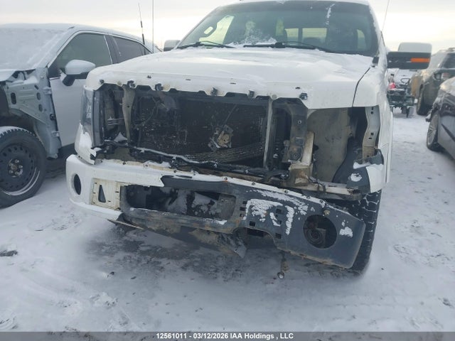 Aukcja sprzedaży 2011 Ford F150 Supercrew, vin: 1FTFW1E65BFA22748, numer aukcji: 12561011