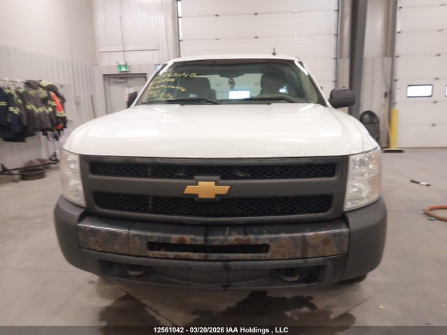 Продажа на аукционе авто 2013 Chevrolet Silverado 1500 Wt, vin: 1GCRKPEA3DZ121148, номер лота: 12561042