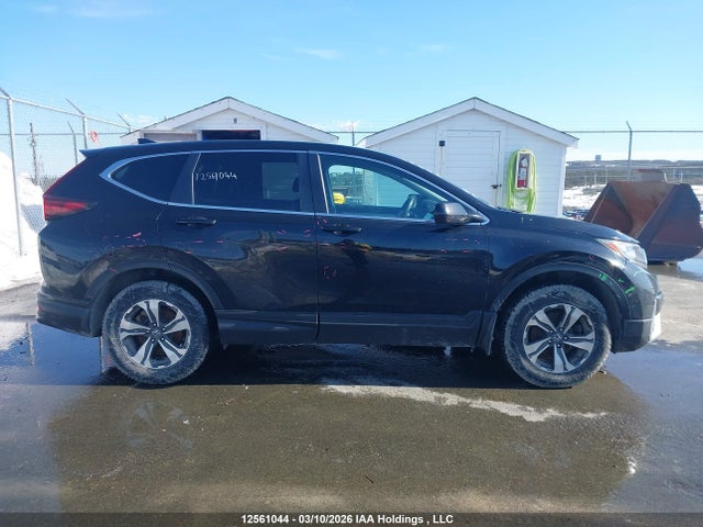 12561044 :رقم المزاد ، 2HKRW2H24LH212964 vin ، 2020 Honda Cr-v Lx مزاد بيع