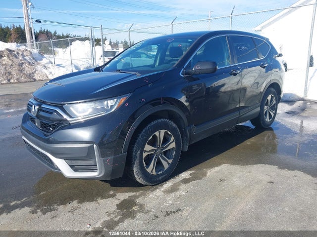12561044 :رقم المزاد ، 2HKRW2H24LH212964 vin ، 2020 Honda Cr-v Lx مزاد بيع
