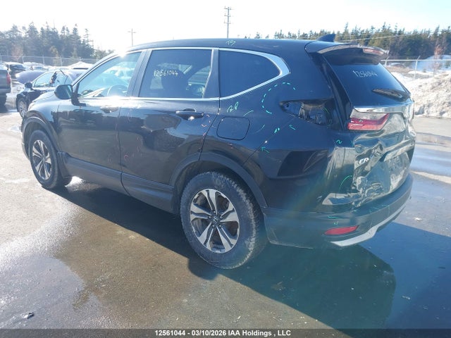 12561044 :رقم المزاد ، 2HKRW2H24LH212964 vin ، 2020 Honda Cr-v Lx مزاد بيع