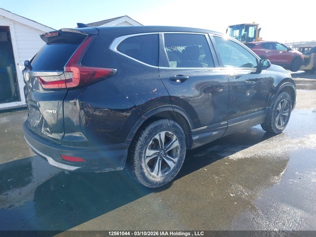 12561044 :رقم المزاد ، 2HKRW2H24LH212964 vin ، 2020 Honda Cr-v Lx مزاد بيع