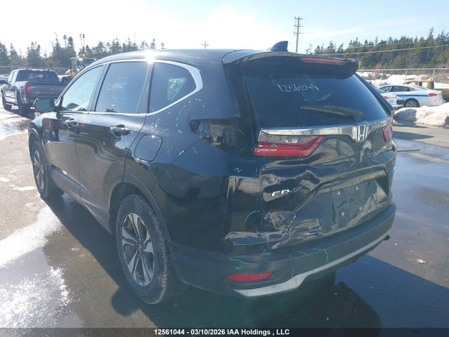 12561044 :رقم المزاد ، 2HKRW2H24LH212964 vin ، 2020 Honda Cr-v Lx مزاد بيع