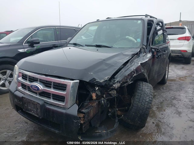 12561054 :رقم المزاد ، 1FMCU0D76CKA52374 vin ، 2012 Ford Escape Xlt مزاد بيع