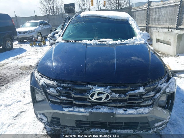 12561078 :رقم المزاد ، KM8JBCDE3SU428691 vin ، 2025 Hyundai Tucson مزاد بيع