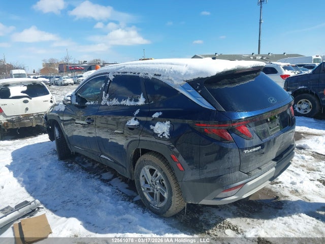 12561078 :رقم المزاد ، KM8JBCDE3SU428691 vin ، 2025 Hyundai Tucson مزاد بيع