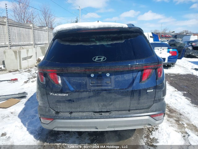 12561078 :رقم المزاد ، KM8JBCDE3SU428691 vin ، 2025 Hyundai Tucson مزاد بيع