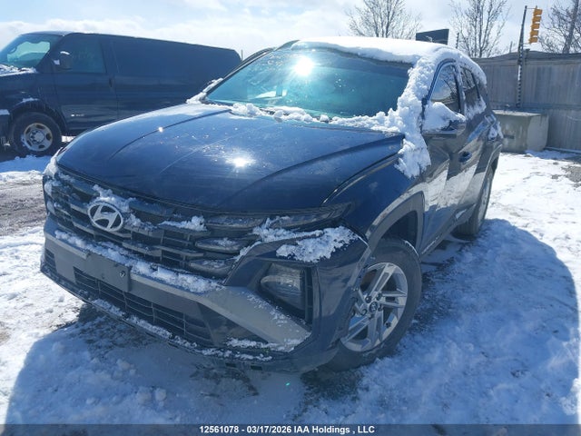 12561078 :رقم المزاد ، KM8JBCDE3SU428691 vin ، 2025 Hyundai Tucson مزاد بيع