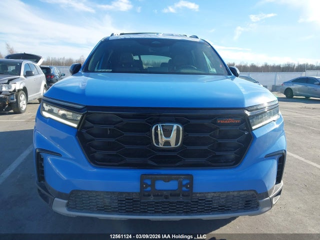 5FNYG1H60SB501231 Honda Pilot Trailsport