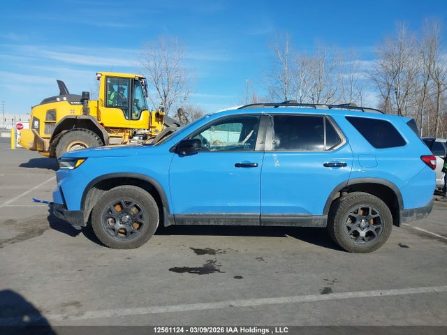 5FNYG1H60SB501231 Honda Pilot Trailsport