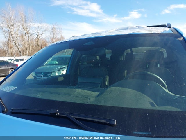 5FNYG1H60SB501231 Honda Pilot Trailsport