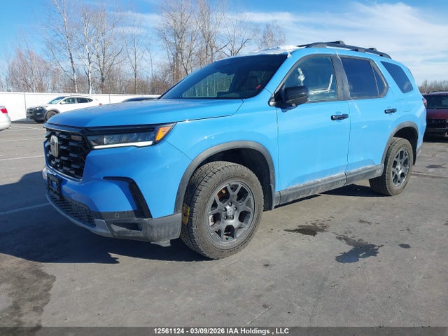 5FNYG1H60SB501231 Honda Pilot Trailsport