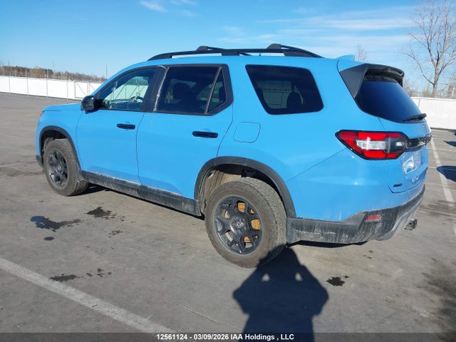 5FNYG1H60SB501231 Honda Pilot Trailsport