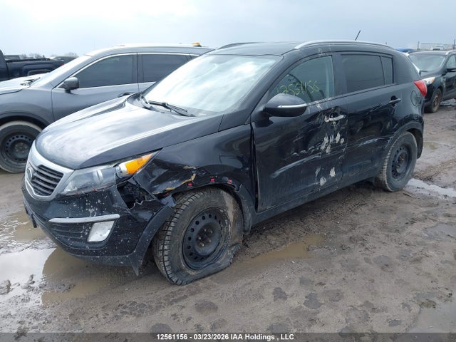 Aukcja sprzedaży 2012 Kia Sportage Lx, vin: KNDPB3A22C7262088, numer aukcji: 12561156