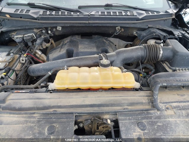 Aukcja sprzedaży 2018 Ford F-150 Xlt, vin: 1FTEW1EG3JKD87133, numer aukcji: 12561163