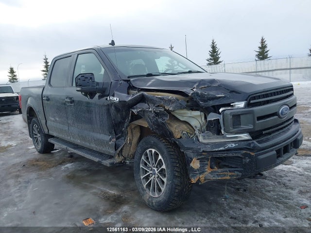 Aukcja sprzedaży 2018 Ford F-150 Xlt, vin: 1FTEW1EG3JKD87133, numer aukcji: 12561163