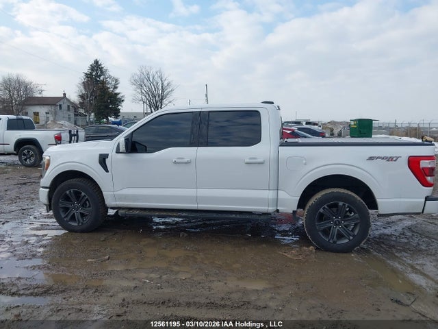 Ford F-150 2023 1FTEW1EP1PKD62191 Image 14