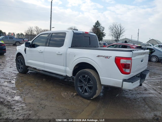Ford F-150 2023 1FTEW1EP1PKD62191 Image 3