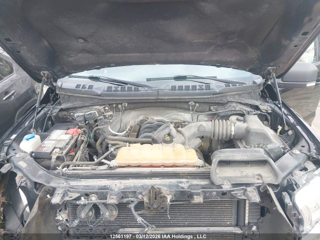 Продаж на аукціоні авто 2016 Ford F150 Supercrew, vin: 1FTEW1EF7GFB38262, номер лоту: 12561197
