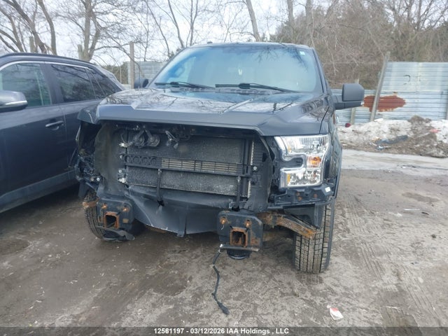Продаж на аукціоні авто 2016 Ford F150 Supercrew, vin: 1FTEW1EF7GFB38262, номер лоту: 12561197