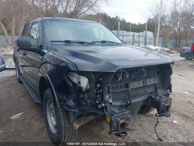 Продаж на аукціоні авто 2016 Ford F150 Supercrew, vin: 1FTEW1EF7GFB38262, номер лоту: 12561197