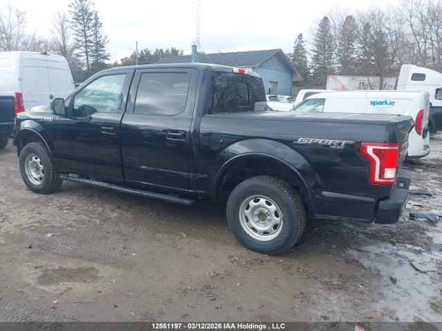 Продаж на аукціоні авто 2016 Ford F150 Supercrew, vin: 1FTEW1EF7GFB38262, номер лоту: 12561197