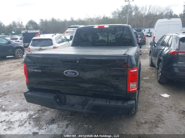 Продаж на аукціоні авто 2016 Ford F150 Supercrew, vin: 1FTEW1EF7GFB38262, номер лоту: 12561197
