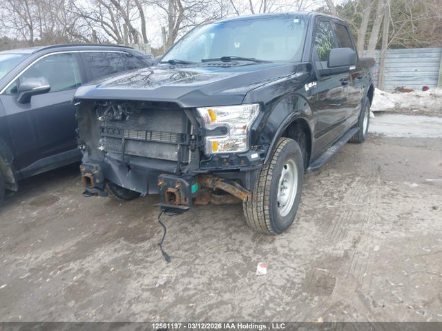 Продаж на аукціоні авто 2016 Ford F150 Supercrew, vin: 1FTEW1EF7GFB38262, номер лоту: 12561197