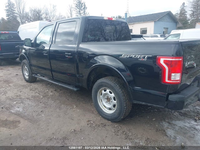 Продаж на аукціоні авто 2016 Ford F150 Supercrew, vin: 1FTEW1EF7GFB38262, номер лоту: 12561197