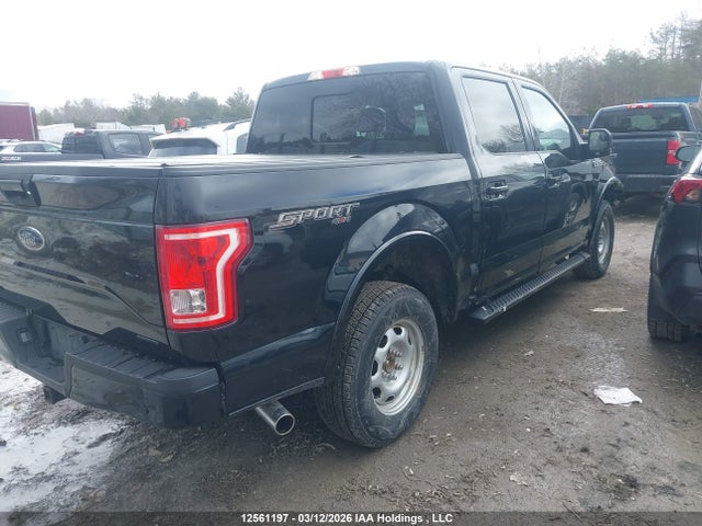 Продаж на аукціоні авто 2016 Ford F150 Supercrew, vin: 1FTEW1EF7GFB38262, номер лоту: 12561197