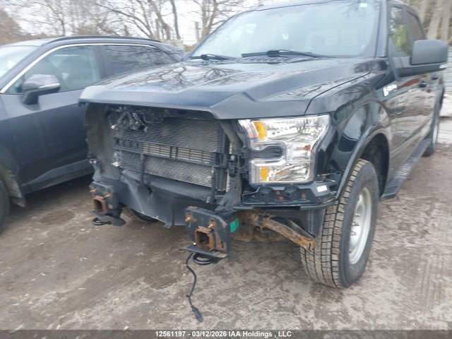 Продаж на аукціоні авто 2016 Ford F150 Supercrew, vin: 1FTEW1EF7GFB38262, номер лоту: 12561197