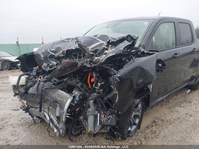 12561204 :رقم المزاد ، 3FTTW8J31SRB21061 vin ، 2025 Ford Maverick Xlt مزاد بيع