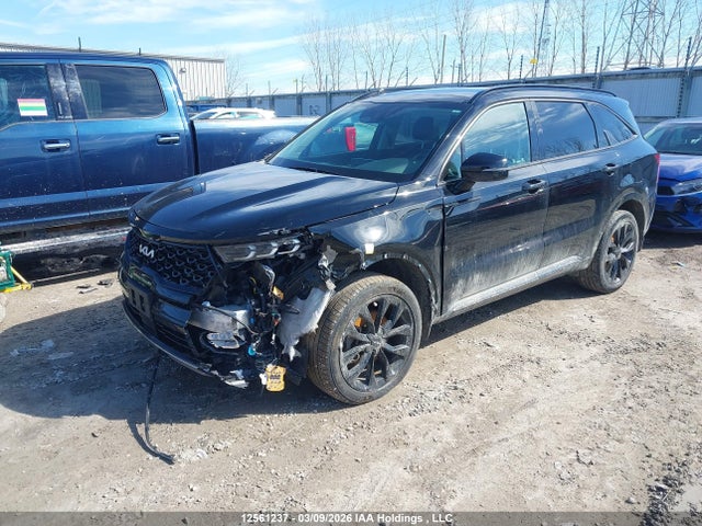 Aukcja sprzedaży 2023 Kia Sorento, vin: 5XYRHDLF9PG239526, numer aukcji: 12561237