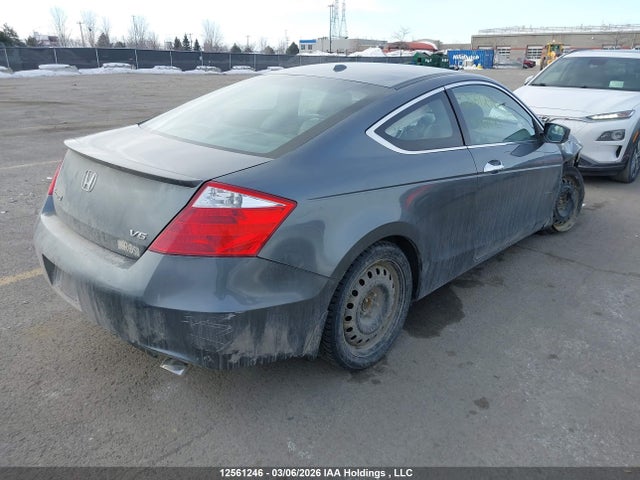 12561246 :رقم المزاد ، 1HGCS22898A801085 vin ، 2008 Honda Accord Exl مزاد بيع