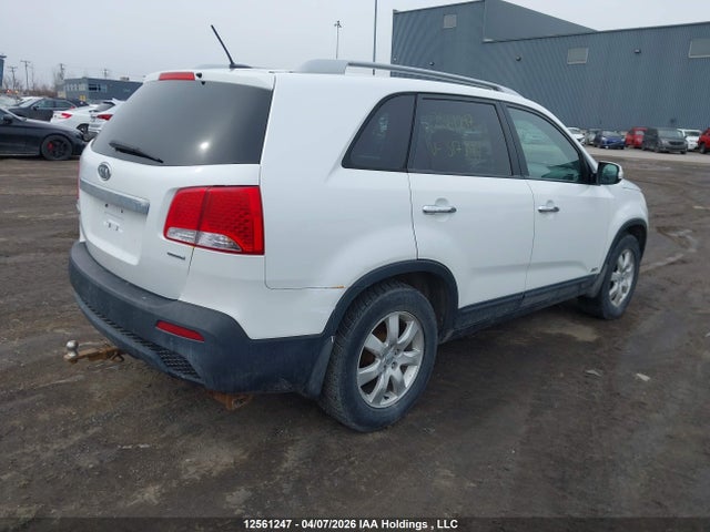12561247 :رقم المزاد ، 5XYKTCA6XDG317451 vin ، 2013 Kia Sorento Lx مزاد بيع