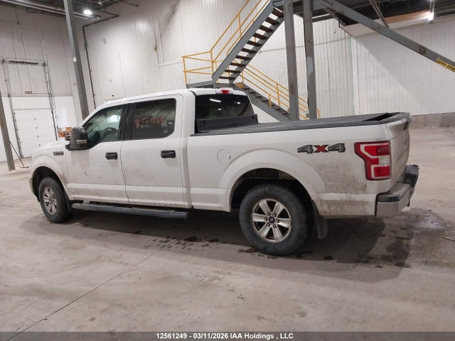 12561249 :رقم المزاد ، 1FTFW1E51JKF46136 vin ، 2018 Ford F150 Supercrew مزاد بيع